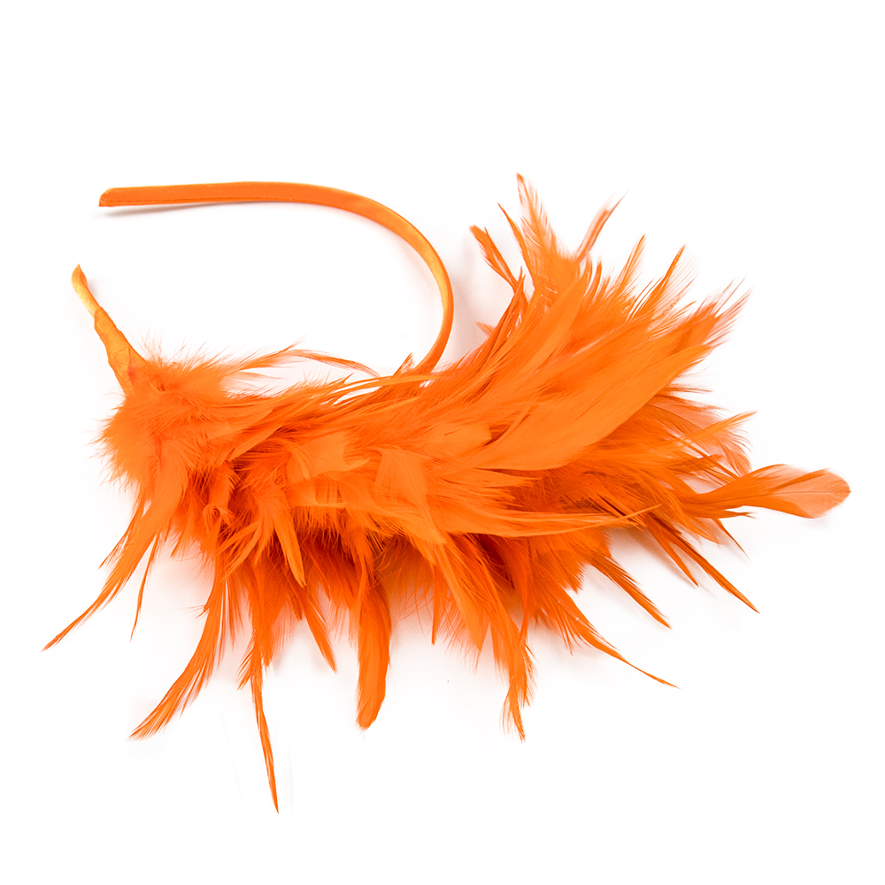 Dance performance feather head - đánh giá và giá Travel Accessories Bunnings