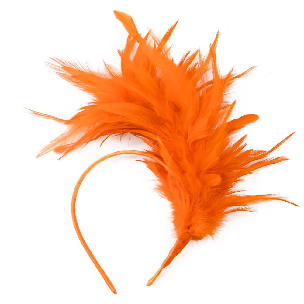Dance performance feather head - đánh giá và giá Travel Accessories Bunnings